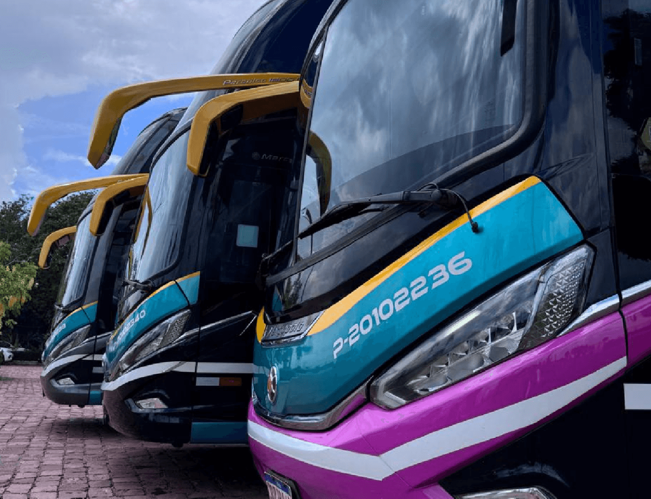 Serviços Pevidor - Transporte de qualidade